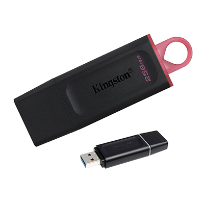 MEMORIA USB 3.2 KINGSTON DTX EXODIA 256GB